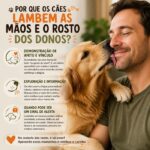 Cães e donos