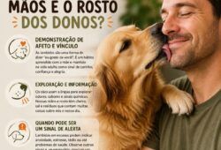Cães e donos